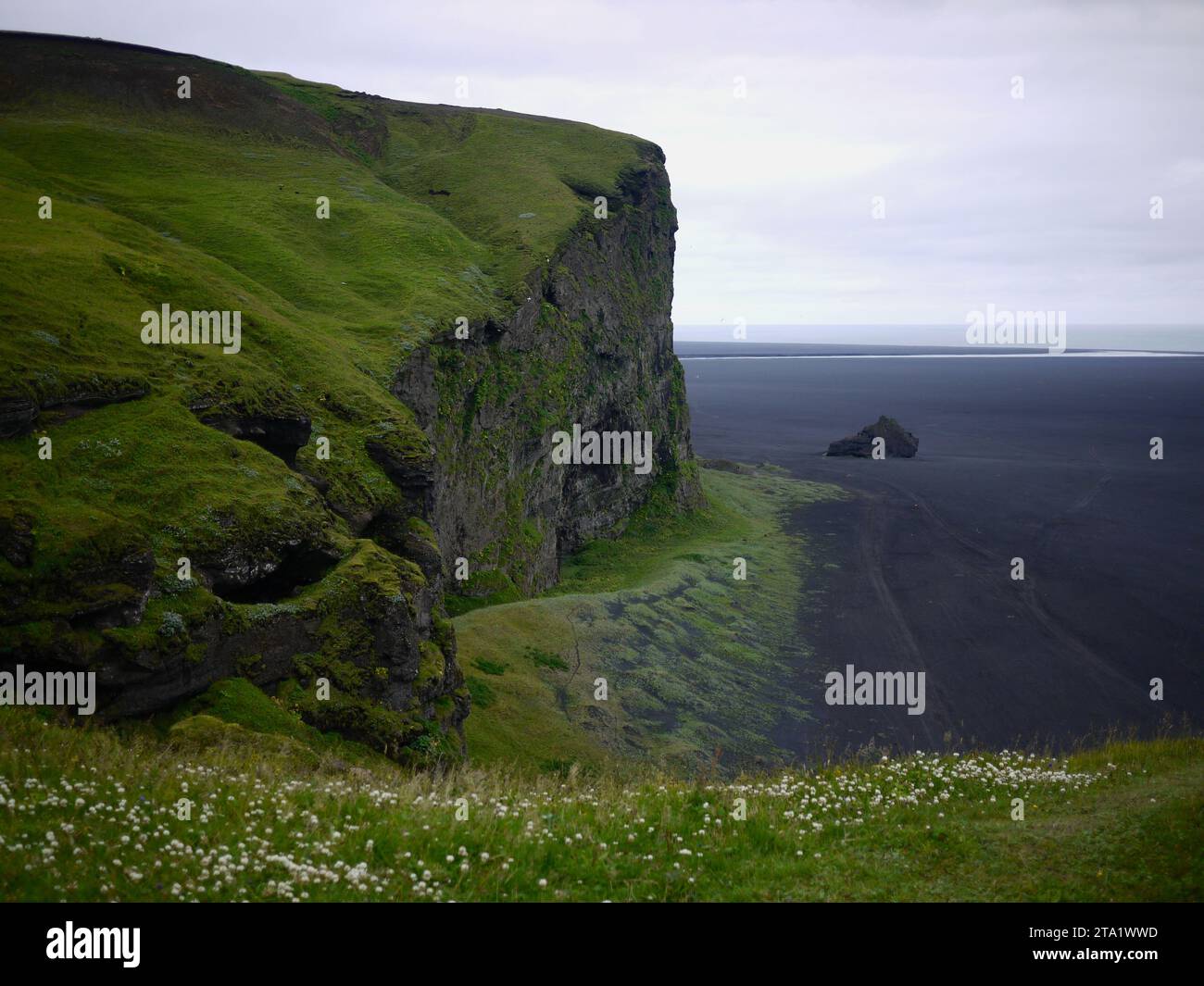 Sulla scogliera presso la spiaggia di sabbia nera di Vik Islanda, affacciata sull'oceano Foto Stock