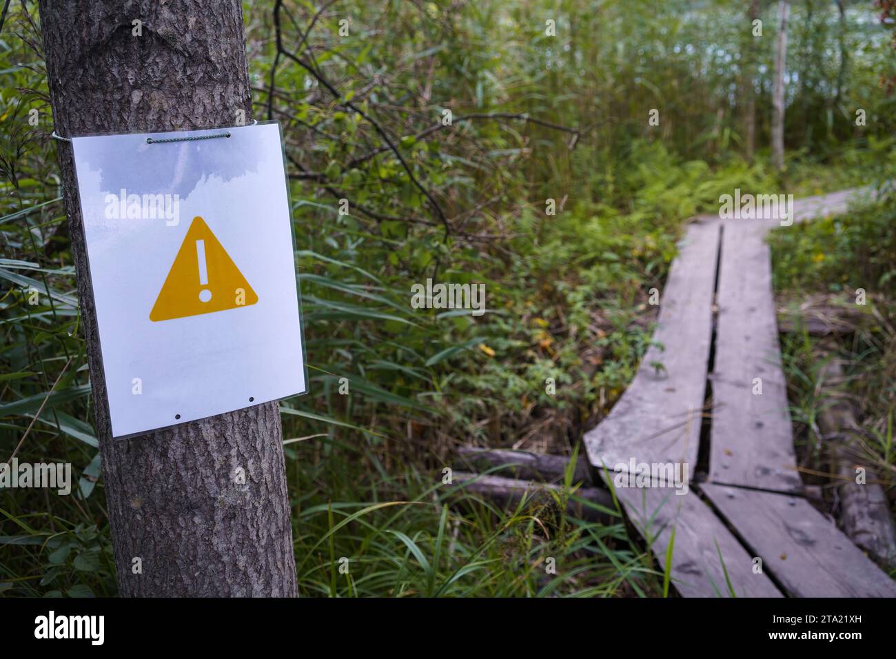 Cartello di avvertimento giallo triangolare accanto alle tavole di legno nel bosco Foto Stock