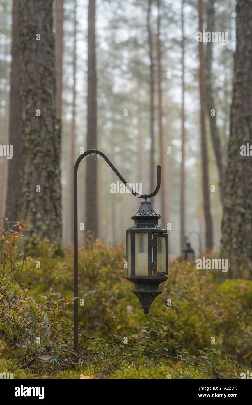 Lanterna nera in una foresta nebbiosa, primo piano Foto Stock