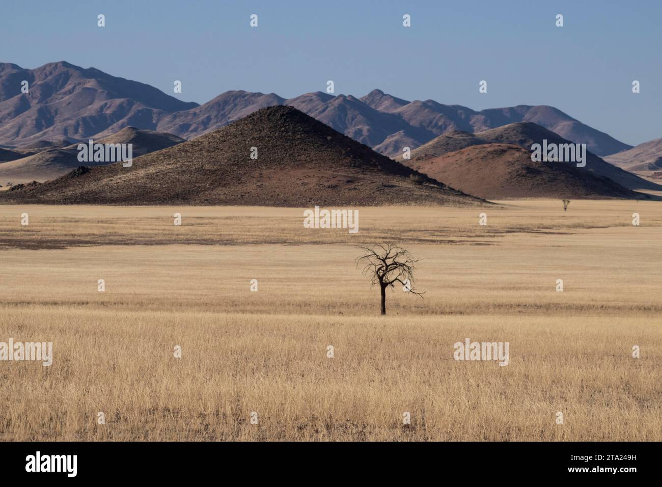 Monti Tiras, deserto del Namib, deserto del Namib, Namibia Foto Stock