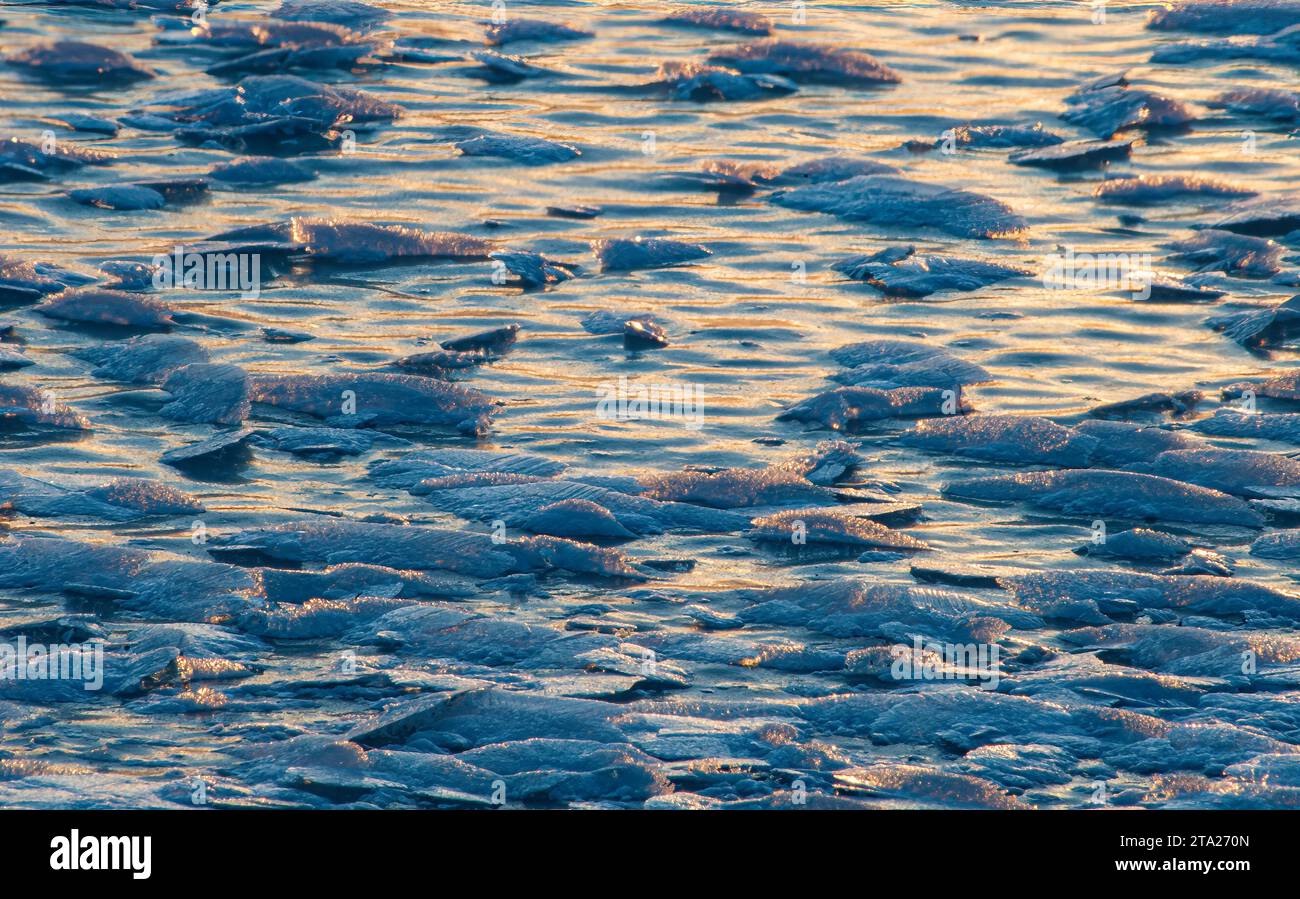 Ghiaccio di superficie su un lago nel Moraine Hills State Park, nella contea di McHenry, Illinois, è uno studio della luce; la forte luce calda del mattino presto e del coo Foto Stock