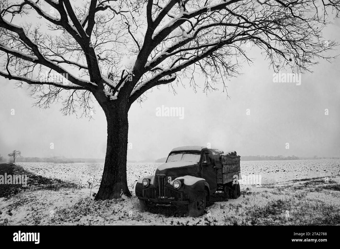 Un vecchio camion è pieno di tronchi di un viaggio che non è mai arrivato alla segheria di Kendall County, Illinois Foto Stock