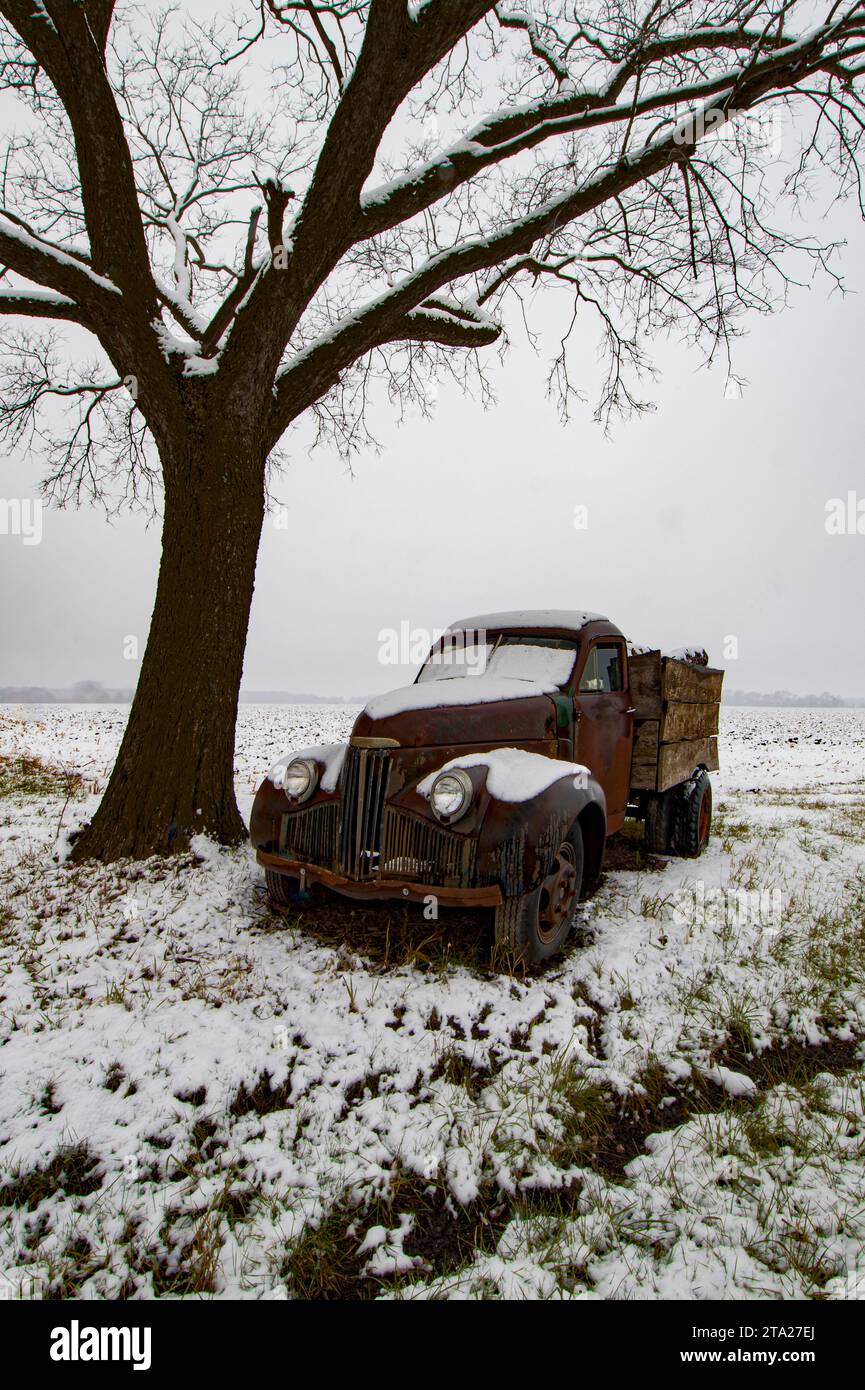 Un vecchio camion è pieno di tronchi di un viaggio che non è mai arrivato alla segheria di Kendall County, Illinois Foto Stock