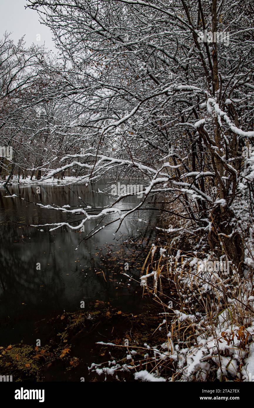 Nel tardo autunno Aux Sable Creek scorre attraverso una foresta ricoperta di neve, Baker Forest Preserve, Kendall County, Illinois Foto Stock