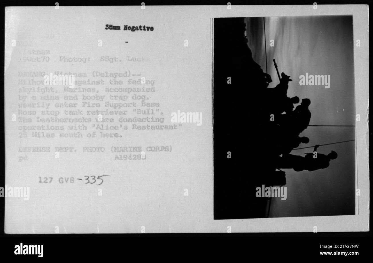 Il 19 ottobre 1970, i marines accompagnati da una mina e da un cane da trappola sono entrati nella First Support base Ross durante le operazioni a 25 miglia a sud di Danang. Un nuovo carro armato di nome Buil assistette i soldati durante l'operazione Alice's Restaurant. Foto Stock