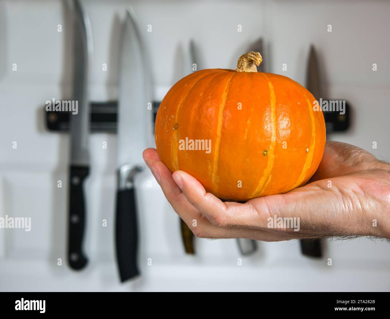 Zucca sulla mano di un uomo su uno sfondo di coltelli su un muro bianco Foto Stock