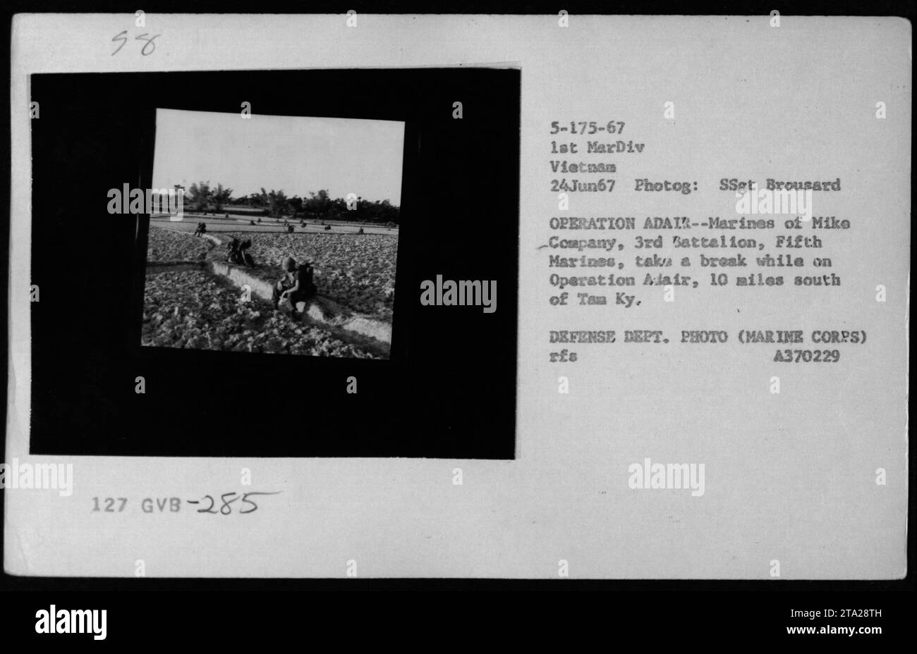 I Marines della Mike Company, 3rd Battalion, 5th Marines, si riposano durante l'operazione Adair 10 miglia a sud di Tam Ky il 24 giugno 1967, illustrando l'attività delle truppe e le pause durante le pattuglie in Vietnam. Foto Stock