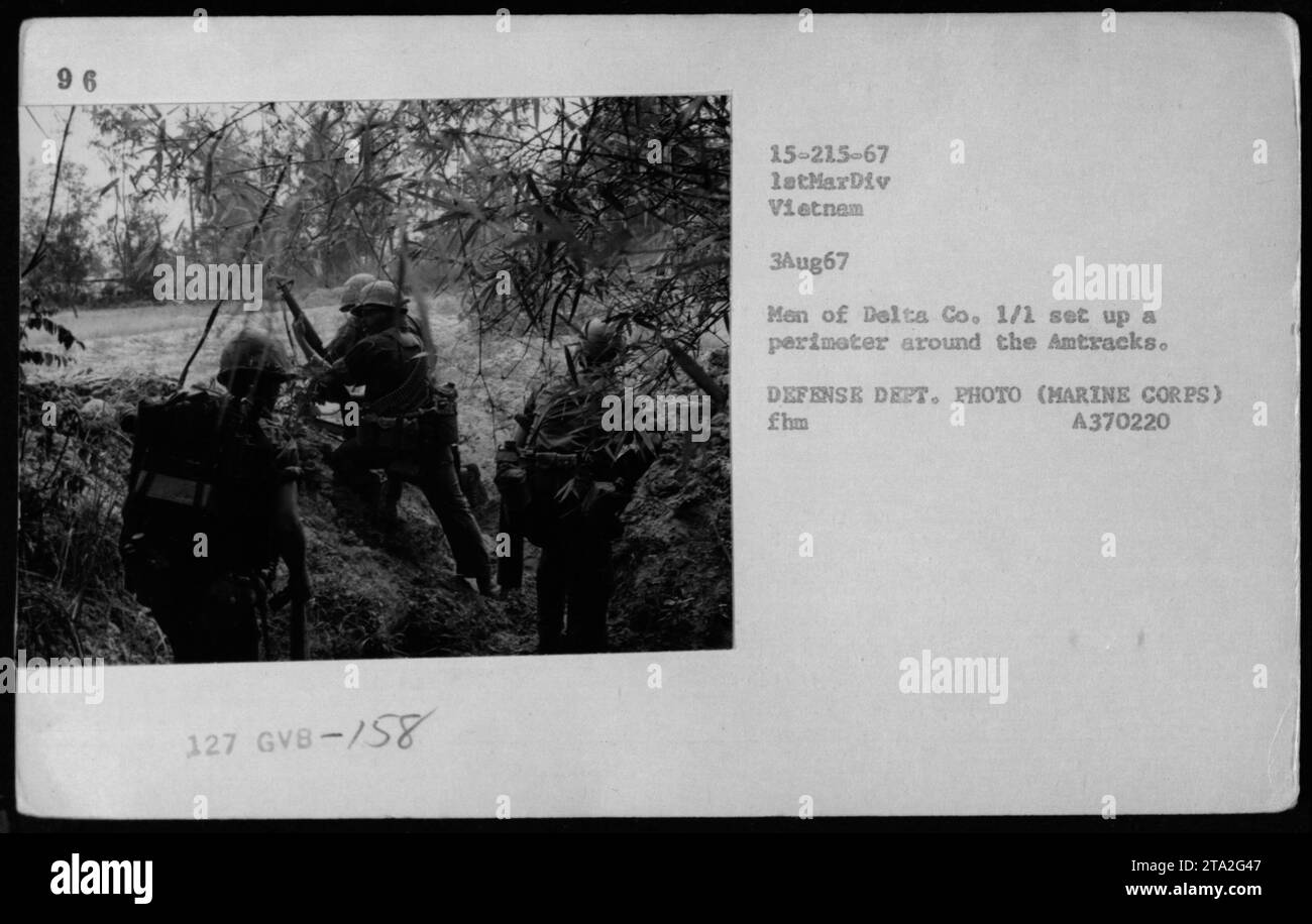 I Marines della Delta Company, 1/1 Battalion costruirono un perimetro difensivo intorno agli Amtracks durante le operazioni di combattimento in Vietnam il 3 agosto 1967. L'immagine mostra gli uomini della compagnia in azione. Fotografia (corpo dei Marines) A370220. Foto Stock