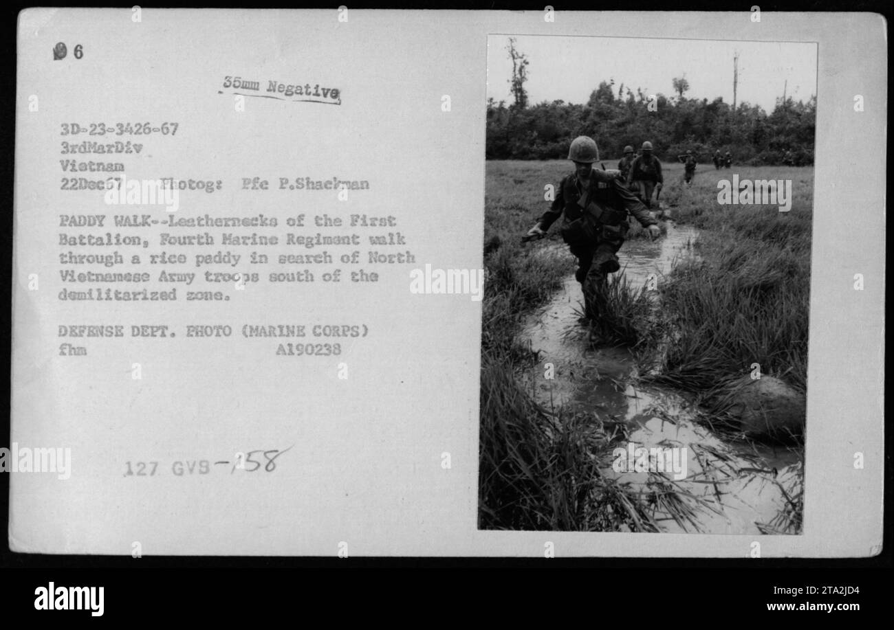 "Leathernecks of the First Battalion, Fourth Marine Regiment cerca truppe dell'esercito nordvietnamita camminando attraverso una risaia a sud della zona demilitarizzata. Questa foto è stata scattata il 22 dicembre 1967, durante le operazioni di combattimento in Vietnam. Fotografia: PFE P. Shackman, Dipartimento difesa Foto (corpo dei Marines)." Foto Stock