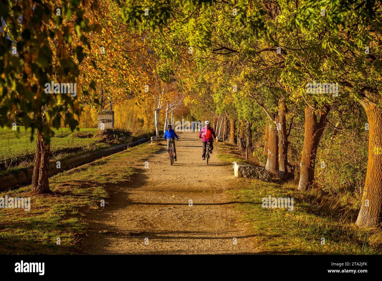 Camí dels Enamorats (sentiero degli amanti), a Puigcerdà, su un tramonto autunnale (Cerdanya, Girona, Catalogna, Spagna, Pirenei). Es: Camino de los enamorados Foto Stock