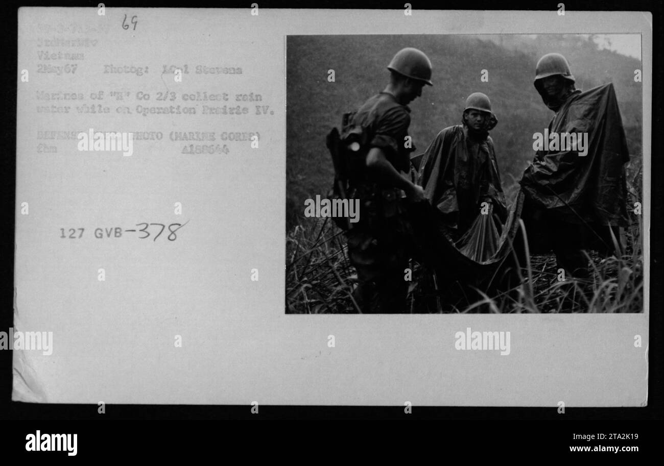 Marines della 'Co 2/3' in Vietnam che raccolgono l'acqua piovana per la purificazione e il rifornimento dell'acqua durante l'operazione Prairie IV Questa fotografia, scattata il 2 maggio 1967, cattura gli sforzi dei militari per garantire un approvvigionamento idrico sufficiente per le truppe sul campo. Foto Stock