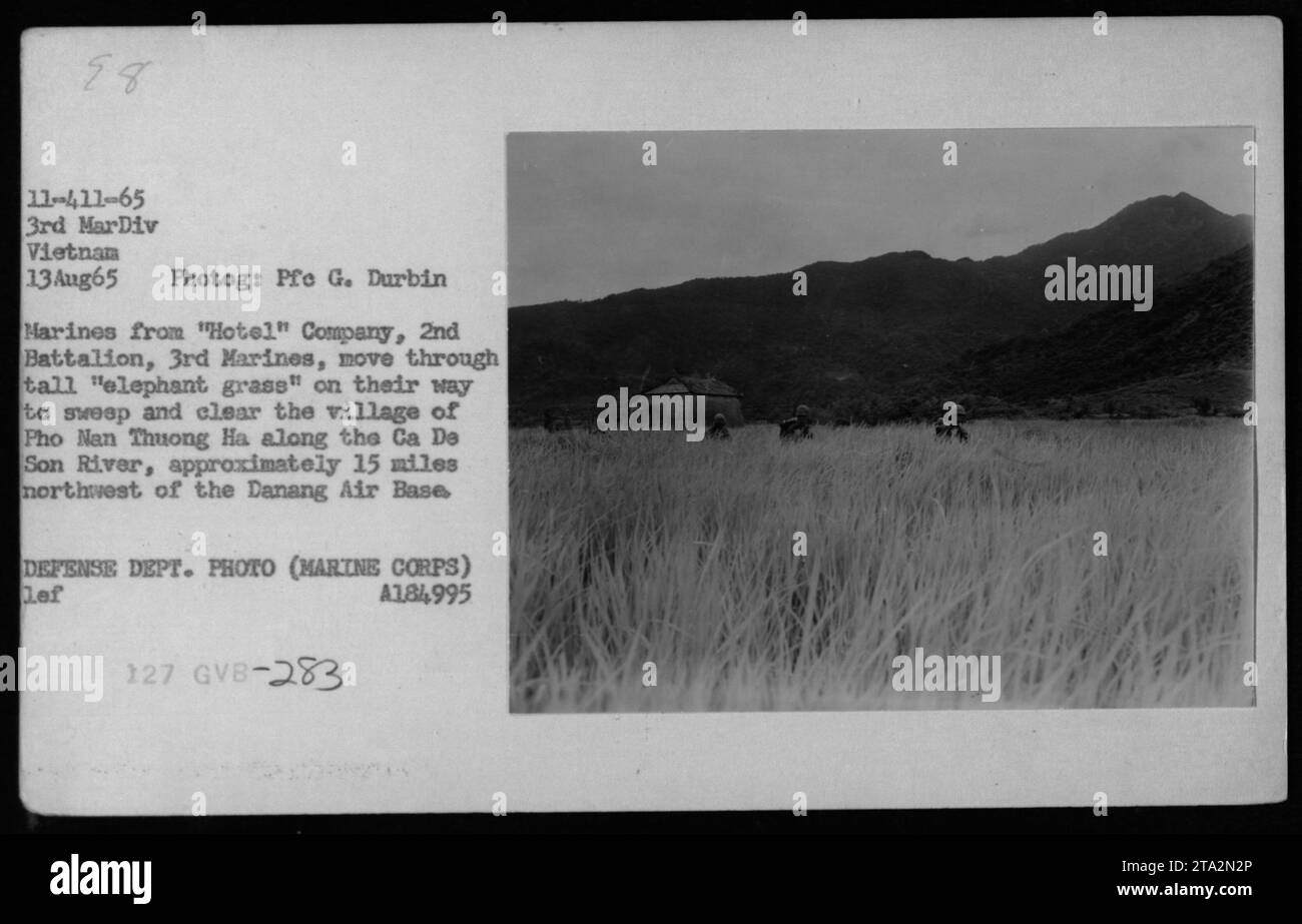 I Marines della compagnia 'Hotel', 2nd Battalion, 3rd Marines, si muovono attraverso l'alta 'erba elefante' sulla loro strada per spazzare e pulire il villaggio di Pho Man Thuong ha lungo il fiume CA da Son, a circa 15 miglia a nord-ovest della base aerea di Danang, il 13 agosto 1965. Foto Stock