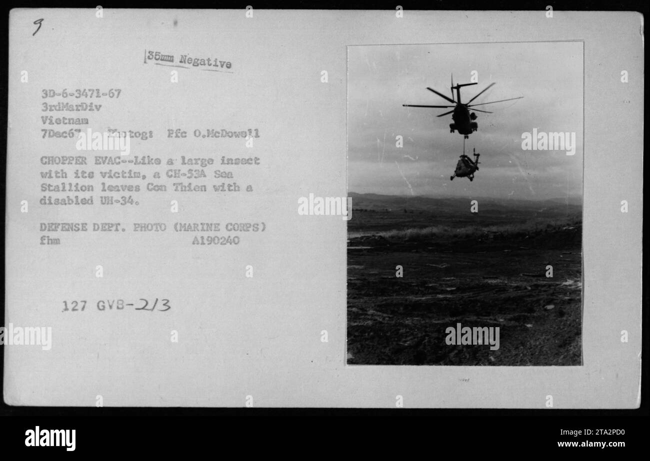 Un elicottero CH-53A Sea Stallion è stato visto qui per evacuare un elicottero disabile UH-34 da con Thien in Vietnam. Questa foto è stata scattata il 7 dicembre 1967 da PFC O.McDowell, un fotografo con la 3rdMarDiv. L'immagine assomiglia a un grande insetto che porta le sue prede, e fu scattata durante le attività militari in Vietnam. Questa fotografia è una foto ufficiale del Dipartimento della difesa (corpo dei Marines). Foto Stock