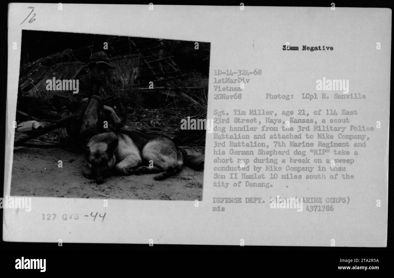 Il sergente Tim Miller, un addestratore di cani da scout, riposa con il suo pastore tedesco Rip durante una scansione nell'Amleto di Chau Son II, 10 miglia a sud di Danang il 20 novembre 1968. Foto Stock
