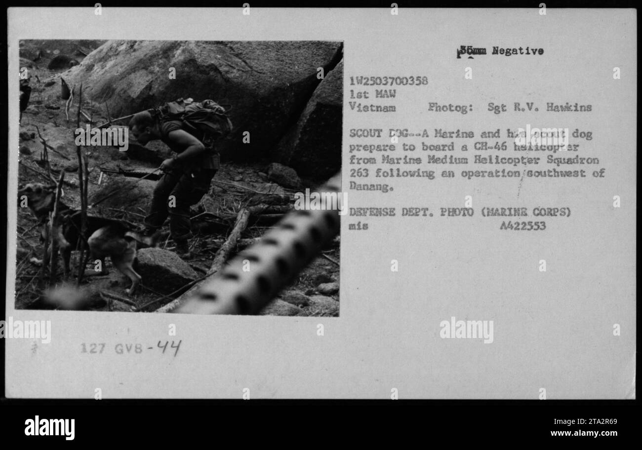 Un Marine e il suo cane da ricognizione salgono a bordo di un elicottero CH-46 del Marine Medium Helicopter Squadron 263 dopo un'operazione a sud-ovest di Danang, in Vietnam, nel 1968. Foto del sergente R.V. Hawkins. Foto Stock