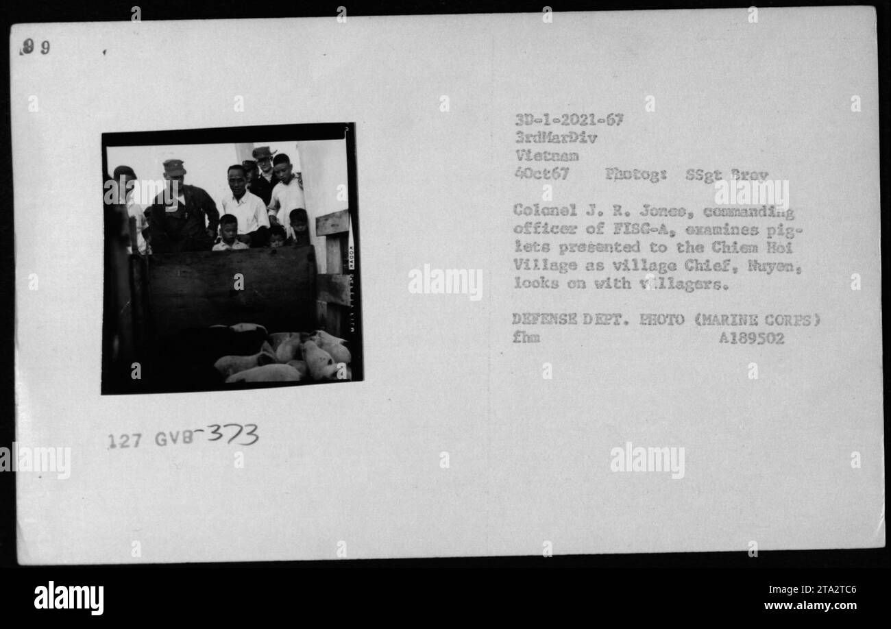 Il colonnello J. R. Jones, comandante della FISC-A, ispeziona un maiale che viene presentato al villaggio di Chiem Hol. Il capo del villaggio Nuyen e altri abitanti del villaggio osservano il momento. Questo evento ebbe luogo il 4 ottobre 1967, durante la guerra del Vietnam. DIPARTIMENTO DIFESA FOTO (NUCLEI MARINI) A189502. Foto Stock