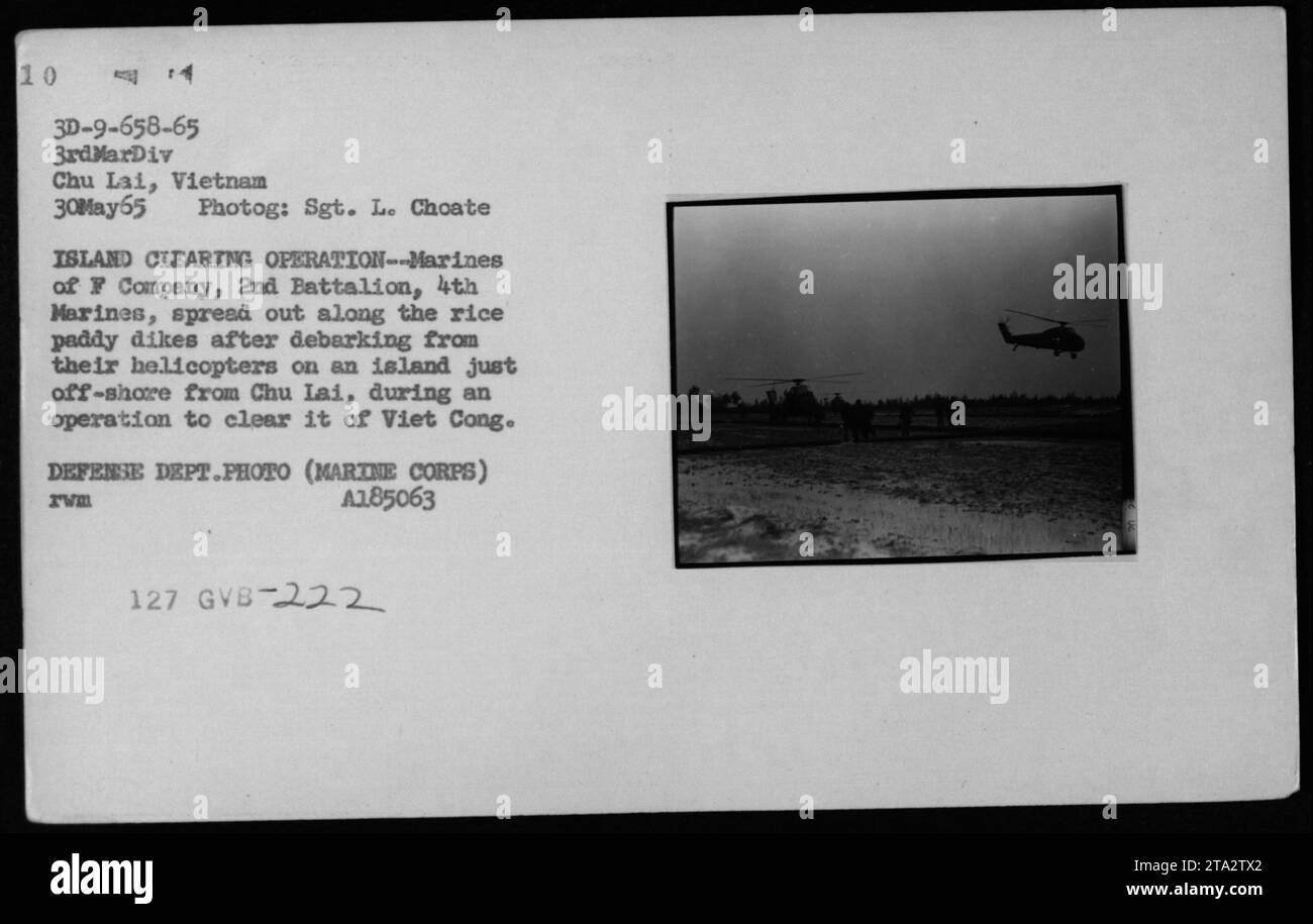 I Marines della compagnia F, 2nd Battalion, 4th Marines sbarcano da elicotteri UH-34 durante un'operazione di sgombero dell'isola vicino a Chu Lai, Vietnam, il 30 maggio 1965. L'operazione mirava a rimuovere la presenza dei Viet Cong dall'isola, con marines che si estendevano lungo le dighe di risaie. Fotografato dal sergente L. Choate. Foto Stock
