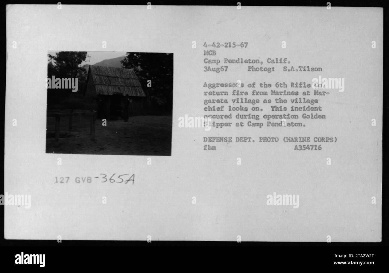 I membri della 6th Rifle Company si impegnano in uno scontro a fuoco con i Marines statunitensi nel villaggio di Margareta durante l'operazione Golden Slipper il 3 agosto 1967. Il capo del villaggio osserva come si svolge il combattimento. La fotografia documenta le operazioni e gli impegni militari durante la guerra del Vietnam. Foto Stock