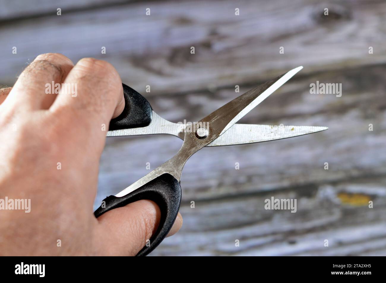 Le forbici in acciaio inox, le forbici sono utensili di taglio manuali, un paio di lame metalliche, utilizzate per il taglio di vari materiali sottili, come carta, c Foto Stock