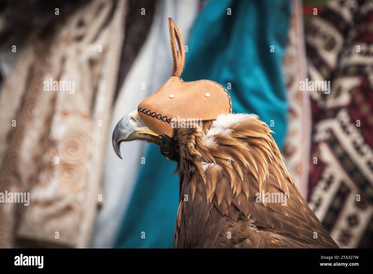 Cappuccio Da Falconeria In Pelle Fatto A Mano – Piuma Rossa – Davidson's Falconry USA