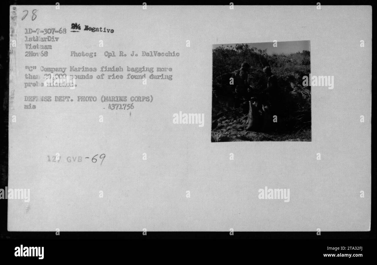 I Marines della C Company hanno saccheggiato oltre 20.000 libbre di riso durante una missione di ricerca in Vietnam il 2 novembre 1968, come parte di una collezione di armi catturate. La foto è stata scattata dal Cpl R. J. DelVecchio. Foto Stock