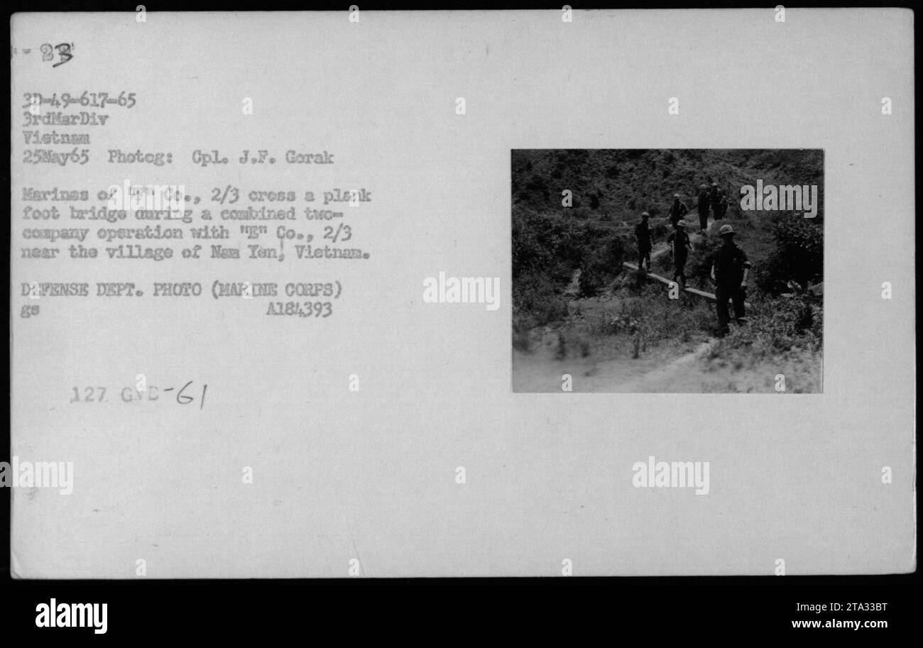 I Marines della Bravo Company, 2/3 Battaglione, attraversano un ponte pedonale di legno vicino al villaggio di Nam Yen, Vietnam, il 25 maggio 1965, durante un'operazione congiunta con Golf Company. Foto Stock