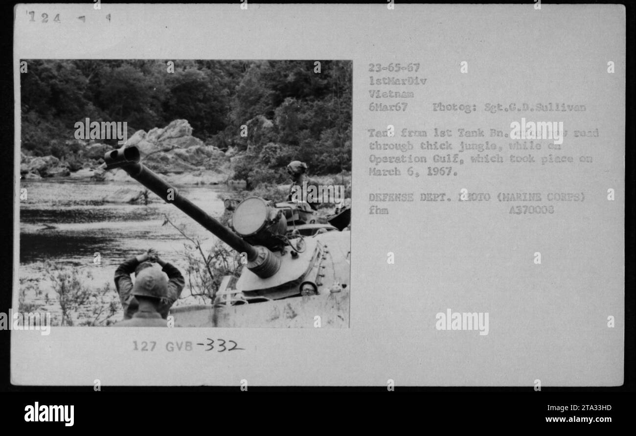 Un carro armato del 1st Tank Battalion che ripulisce una nuova strada attraverso la fitta giungla durante l'operazione Gulf il 6 marzo 1967. La foto è stata scattata dal sergente G.D. Sullivan e fa parte della collezione di fotografie del Dipartimento della difesa che documentano le attività militari americane durante la guerra del Vietnam. Foto Stock