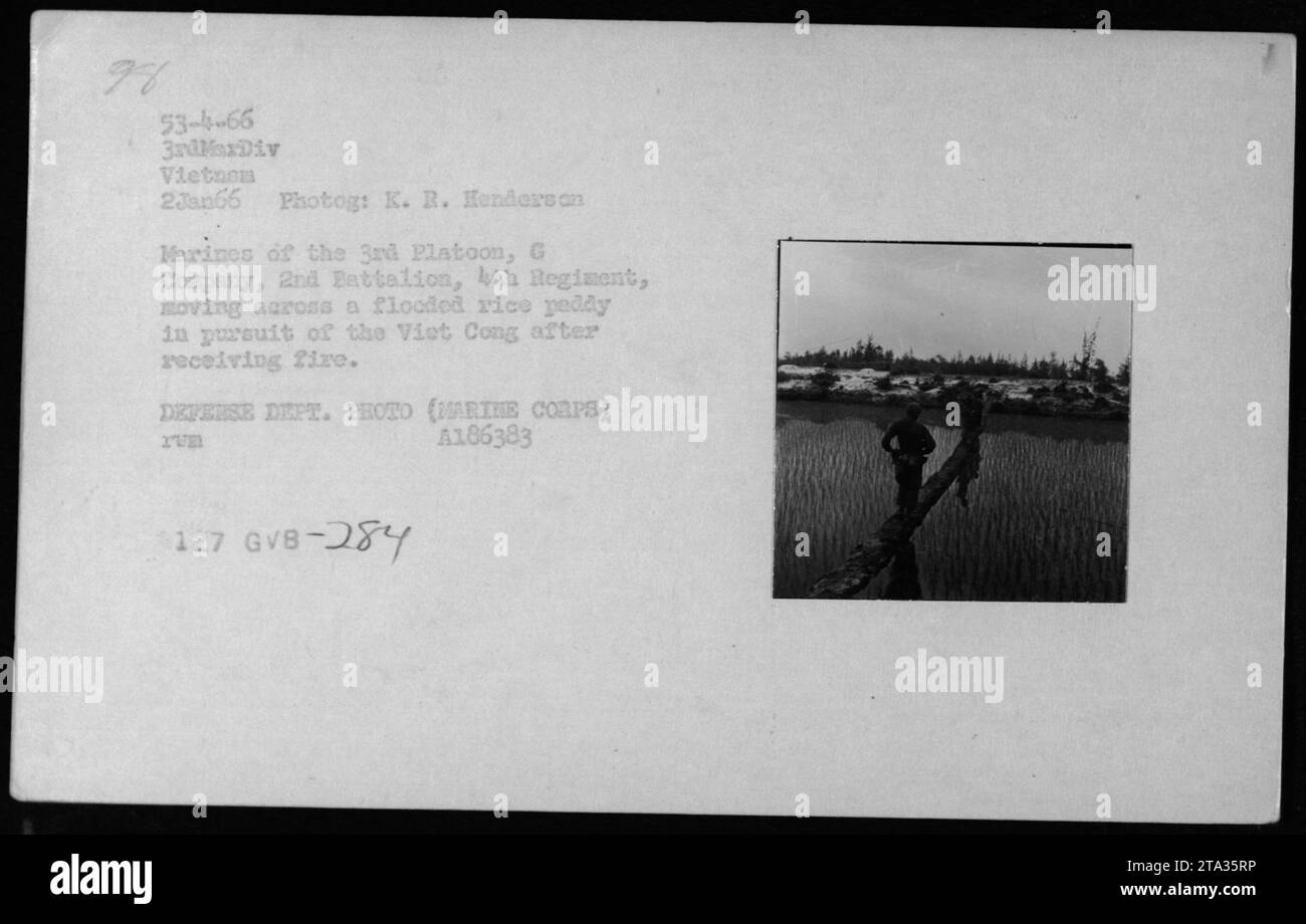I marines del 3rd Platoon, G Company, 2nd Battalion, 4th Regiment, vengono visti attraversare una risaia ad acqua all'inseguimento del Viet Cong dopo essere stati sotto il fuoco. Questa foto è stata scattata il 2 gennaio 1966, durante le pattuglie in Vietnam dalla 3rd Marine Division. (Dipartimento difesa Foto - Marthe Corps) Foto Stock