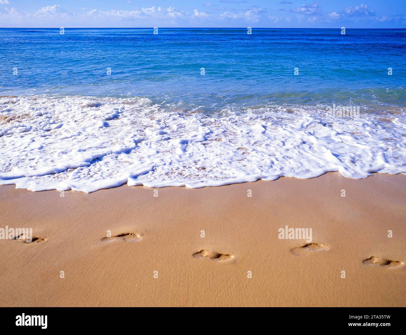 Passi nella sabbia, Eagle Beach, Oranjestad District, Aruba, ABC Islands, Leeward Antilles, Caraibi Foto Stock