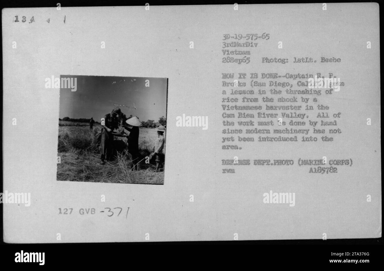 Il capitano R.P. Brooks di San Diego osserva una mietitrice vietnamita che trema il riso a mano nella valle del fiume Cam Bien il 28 settembre 1965, illustrando l'agricoltura tradizionale e la vita civile durante la guerra del Vietnam. Foto Stock