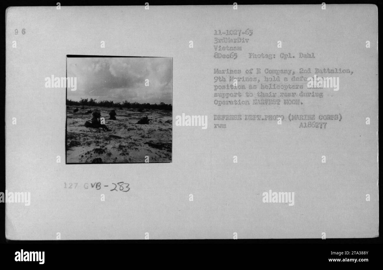 L'8 dicembre 1965, i Marines della compagnia, 2nd Battalion, 9th Marines detennero una posizione difensiva mentre gli elicotteri fornivano supporto aereo durante l'operazione Harvest Moon in Vietnam. Foto Stock