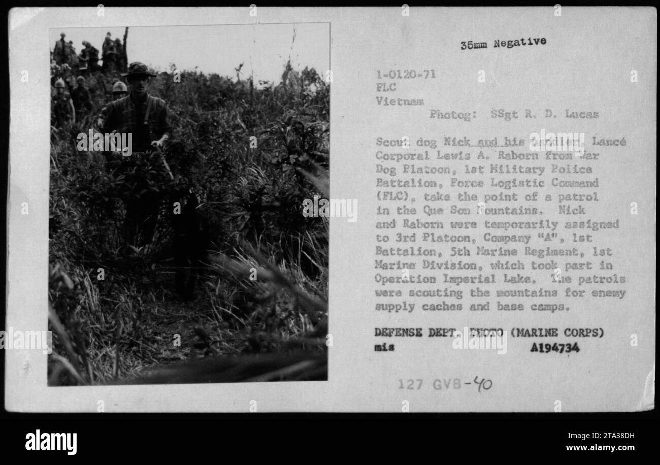 Il cane scout Nick e il conduttore Lance caporale Lewis A. Raborn del War Dog Platoon, battaglione di polizia militare, guidano una pattuglia nelle montagne Que Son durante l'operazione Imperial Lake, alla ricerca di depositi di rifornimento nemici e campi base, la guerra del Vietnam. Foto Stock