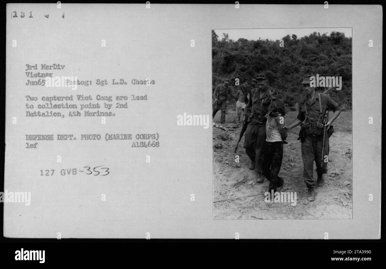 Due Viet Cong catturati sospettano di essere stati portati in un punto di raccolta dal 2nd Battalion, 4th Marines in Vietnam, giugno 1965. Fotografia scattata dal sergente Lede Choate del Dipartimento della difesa. Foto Stock