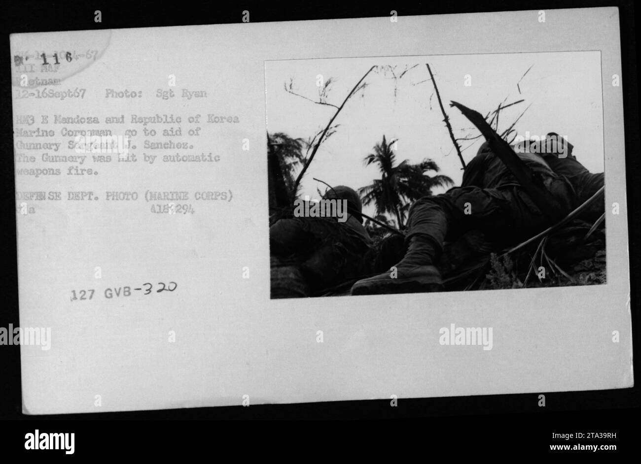 Il 12 settembre 1967, i Marines del ROK assistettero il sergente di Gunnery J. Sanchez dopo essere stato ferito da un fuoco automatico di armi durante un'operazione in Vietnam, con un Corpsman che forniva aiuto. Foto Stock