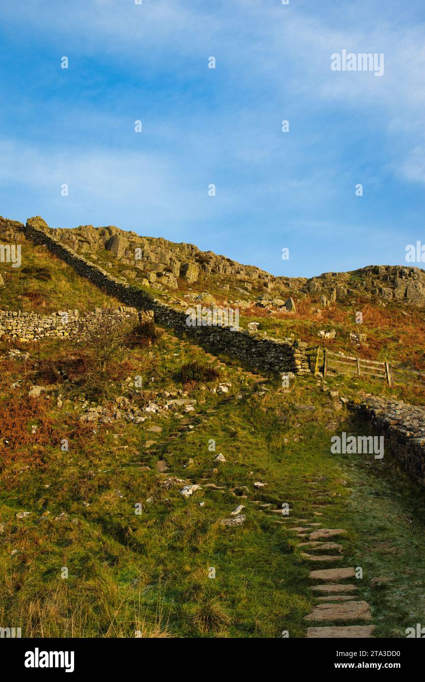 Foto paesaggistica nel Northumberland Foto Stock