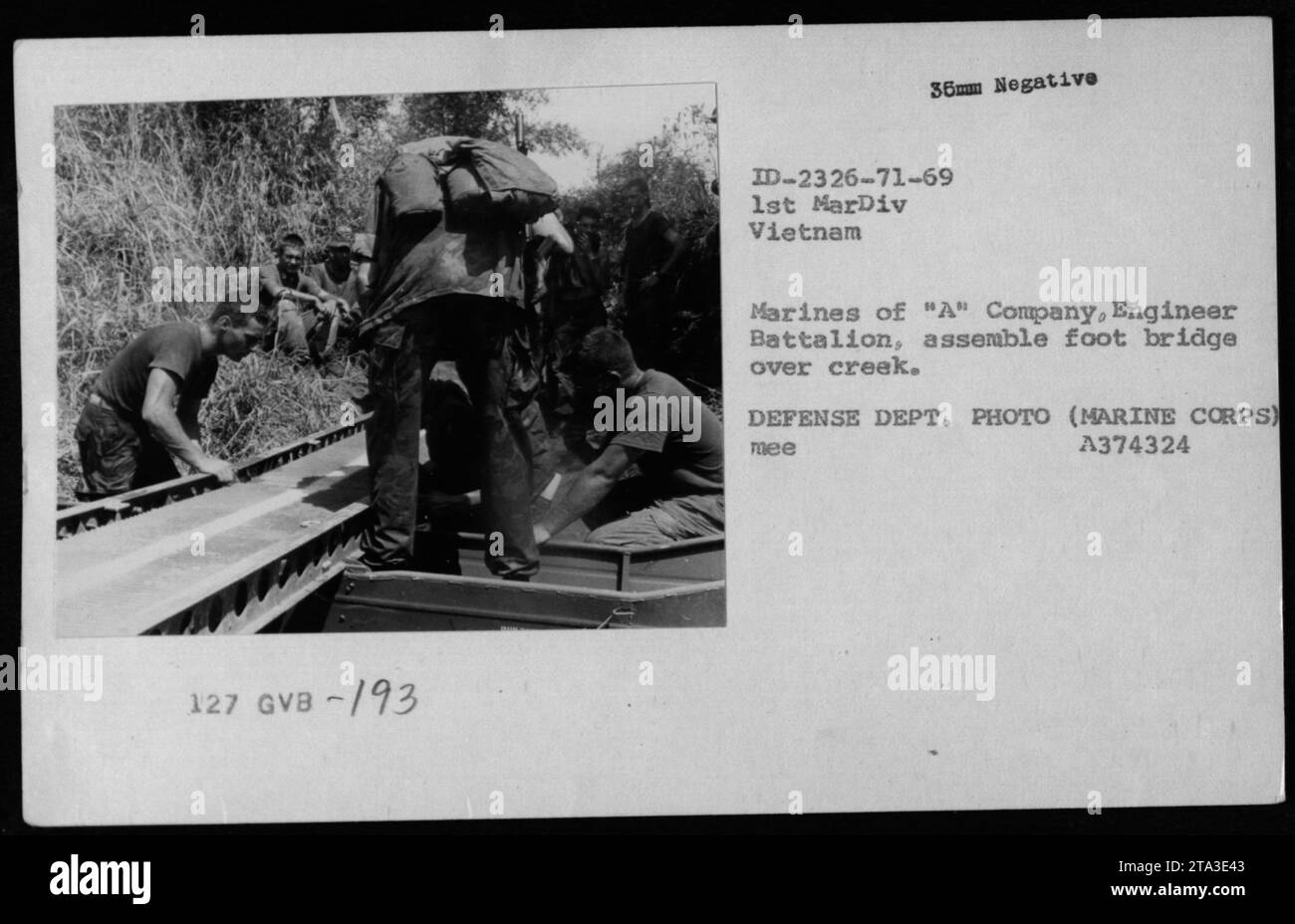 Il Corpo Degli Ingegneri Dell'Esercito - TiscaliNews - Foto 3