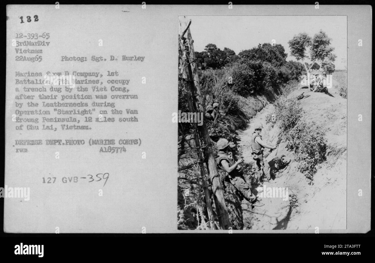 I Marines della compagnia D, 1st Battalion, 7th Marines, occupano una trincea precedentemente scavata dai Viet Cong. La foto è stata scattata il 22 agosto 1965, durante l'operazione 'Starlight' sulla penisola di Van Troung in Vietnam. I Marines invasero la posizione dei Viet Cong dopo aver combattuto. Foto Stock