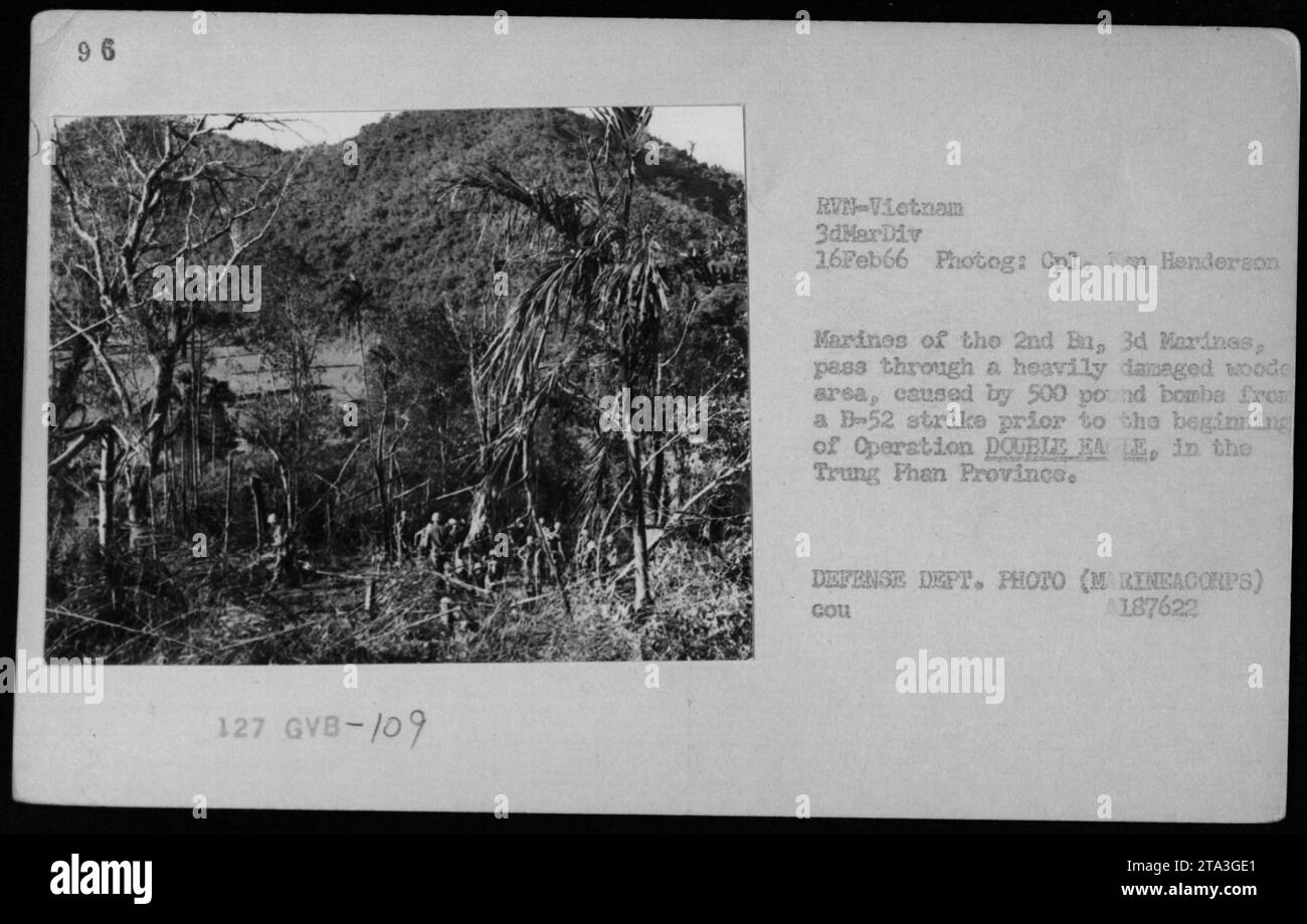 I marines del 2nd Battalion, 3rd Marines, navigano attraverso un'area boschiva pesantemente danneggiata nella provincia di Trung Phan durante l'operazione DOUBLE EAGLE il 16 febbraio 1966. Prima della missione, quest'area fu pesantemente bombardata da aerei B-52, lasciando significative distruzioni. Fotografo: CPL. Dan Henderson (foto del Dipartimento della difesa - corpo dei Marines) AL87622. Foto Stock