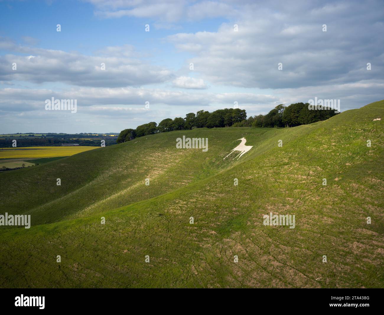 Il Cavallo bianco a Cherhill, nei pressi del villaggio di Cherhill nel Wiltshire, in Inghilterra Foto Stock