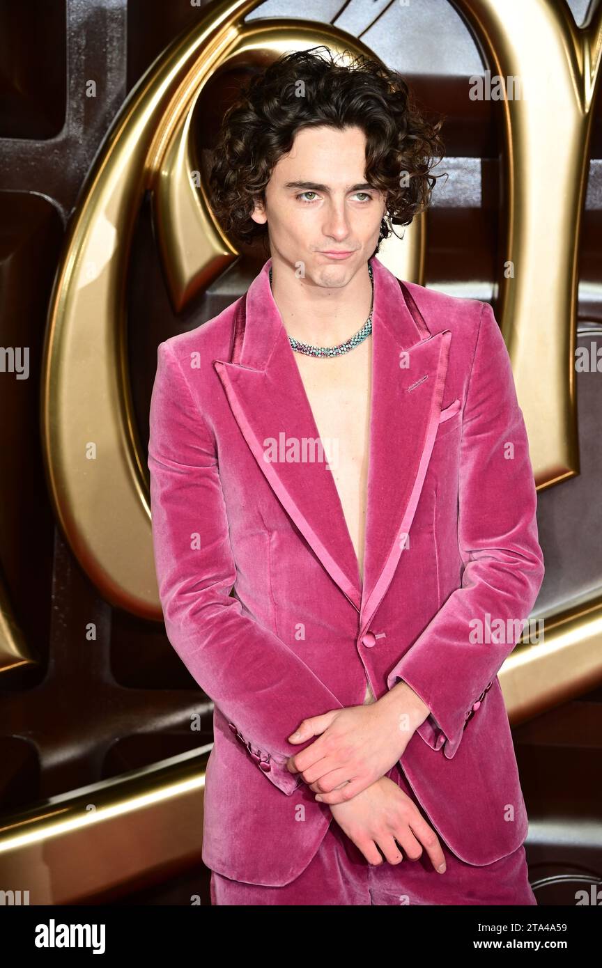 Londra, Regno Unito. 28 novembre 2023. Timothee Chalamet frequenta la Warner Bros. Pictures Presents - la prima mondiale di Wonka alla Royal Festival Hall. Credito: Vedere li/Picture Capital/Alamy Live News Foto Stock