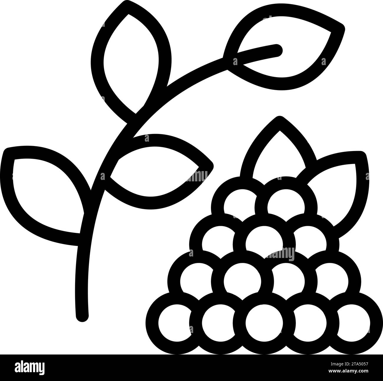 Icona delle perle di tapioca, vettore di contorno. Bibite taiwanesi. Gustoso tè freddo lattiginoso Illustrazione Vettoriale