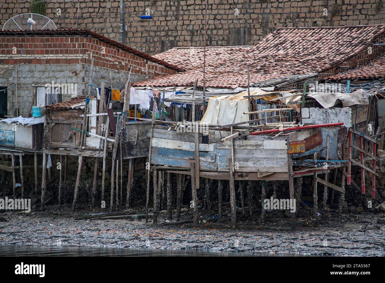 Estrema povertà in favela nel Brasile nord-orientale, palafitte sormontate su cumuli su un terreno fangoso per prevenire le inondazioni. Natal City, Rio grande do Norte State, Brasile. Foto Stock