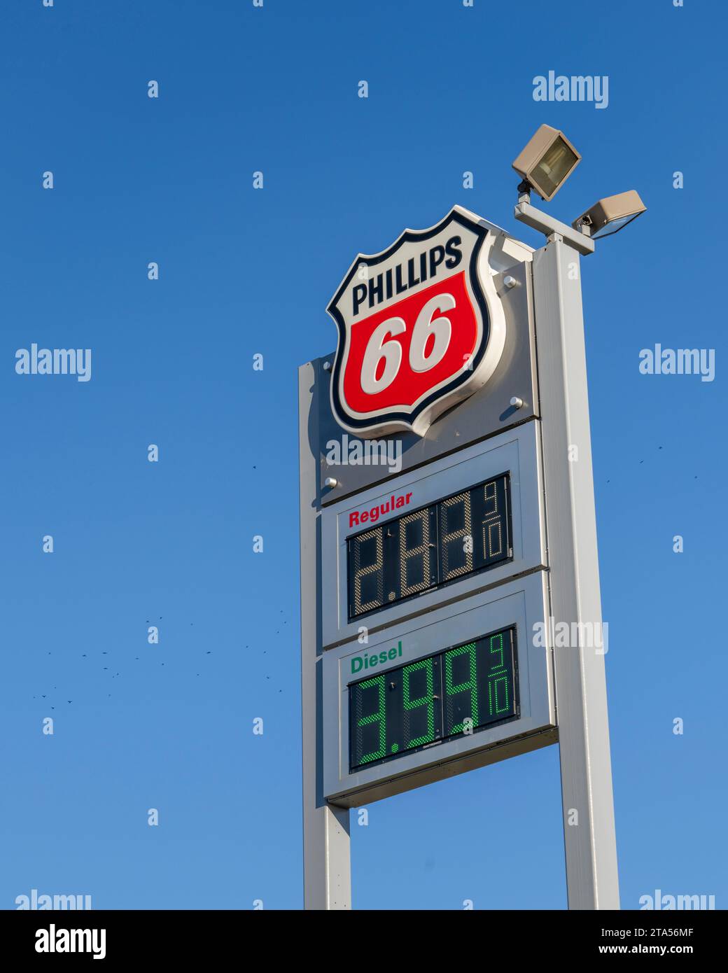 Cape Girardeau, Missouri, USA - 18 novembre 2023: Cartello della stazione di servizio Phillips 66 con i prezzi della benzina e del diesel contro il cielo blu. Foto Stock
