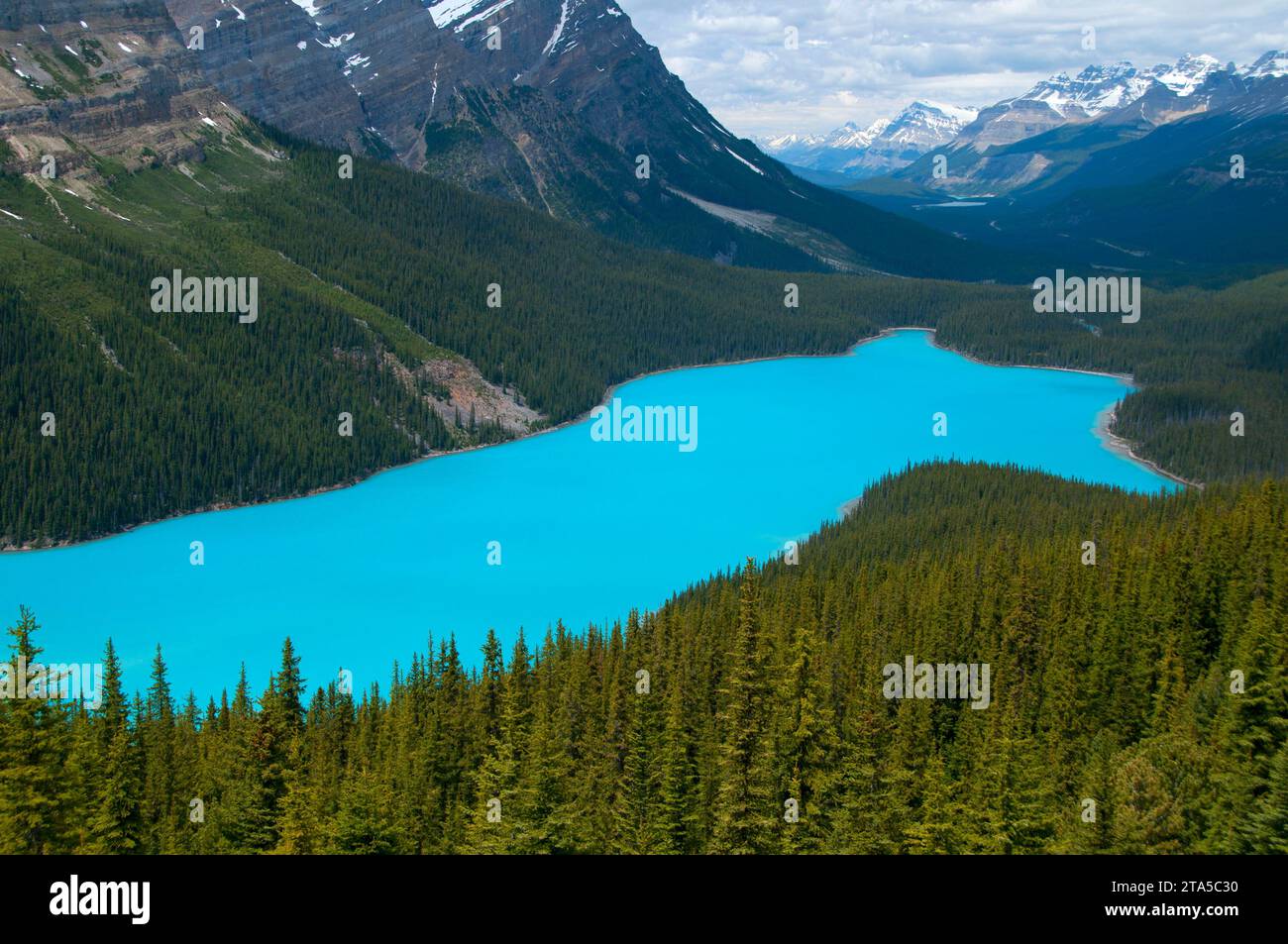 Peyto Lake, il Parco Nazionale di Banff, Alberta, Canada Foto Stock
