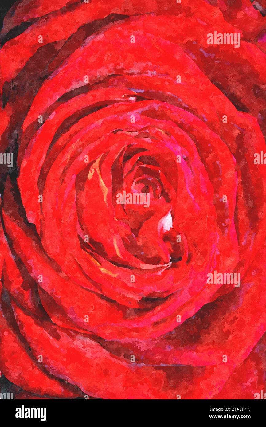 Foto macro di rosa rossa con effetto acquerello digitale, manipolazione fotografica. Foto Stock
