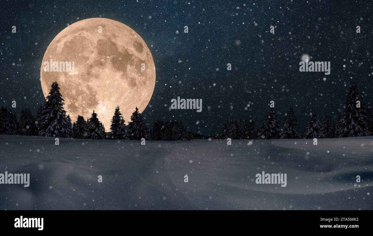 Incredibile notte della vigilia di Natale nella foresta con neve e cielo stellato con un concetto di luna piena bellissima. Capodanno 2024 in natura, idea creativa Foto Stock