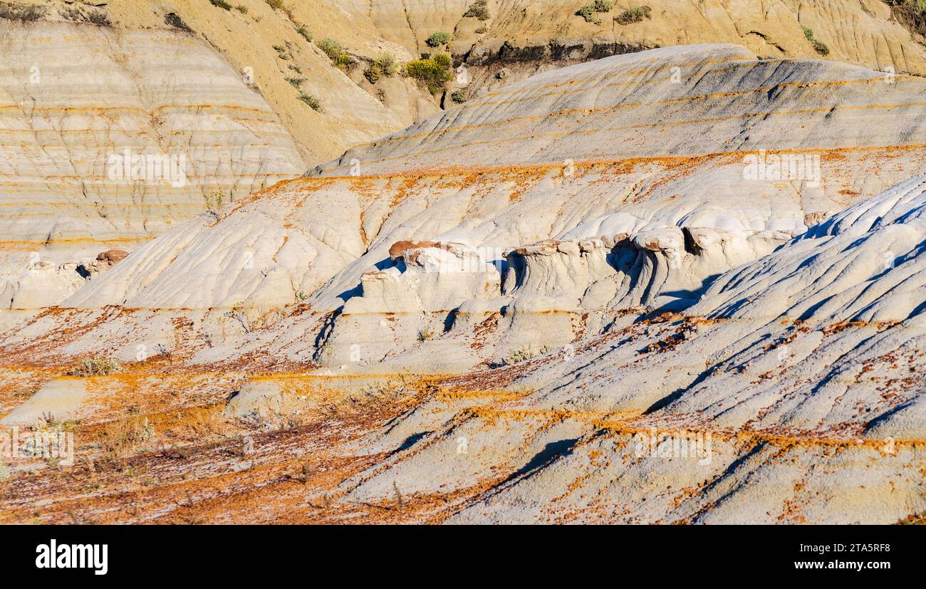 Theodore Roosevelt National Park nel Dakota del Nord occidentale Foto Stock