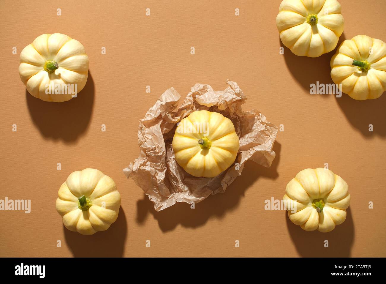 Decorazioni autunnali natalizie con mini zucche decorate su sfondo marrone. Vista dall'alto. Scenario minimo per pubblicità e branding dei prodotti Foto Stock