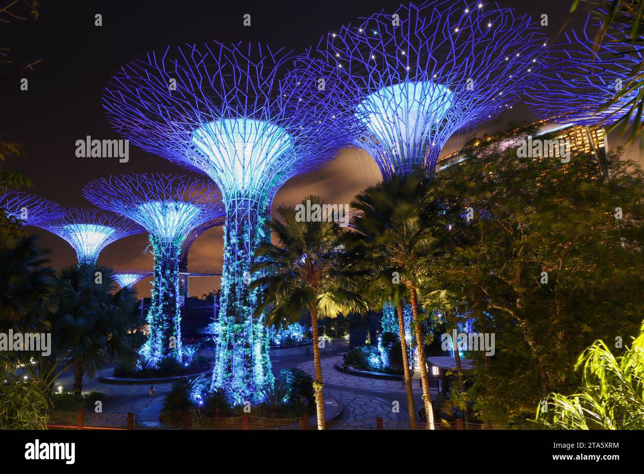 Giardini vicino ai superalberi della baia Foto Stock