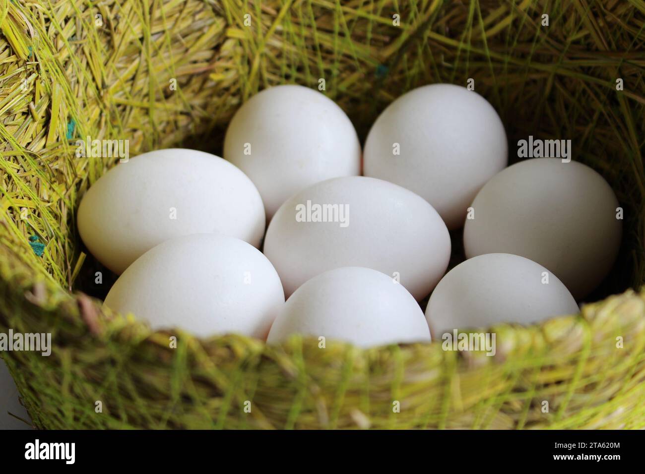 Uova di gallina in Un cestino d'erba artigianale a mano foto di scorta dettagliata Foto Stock